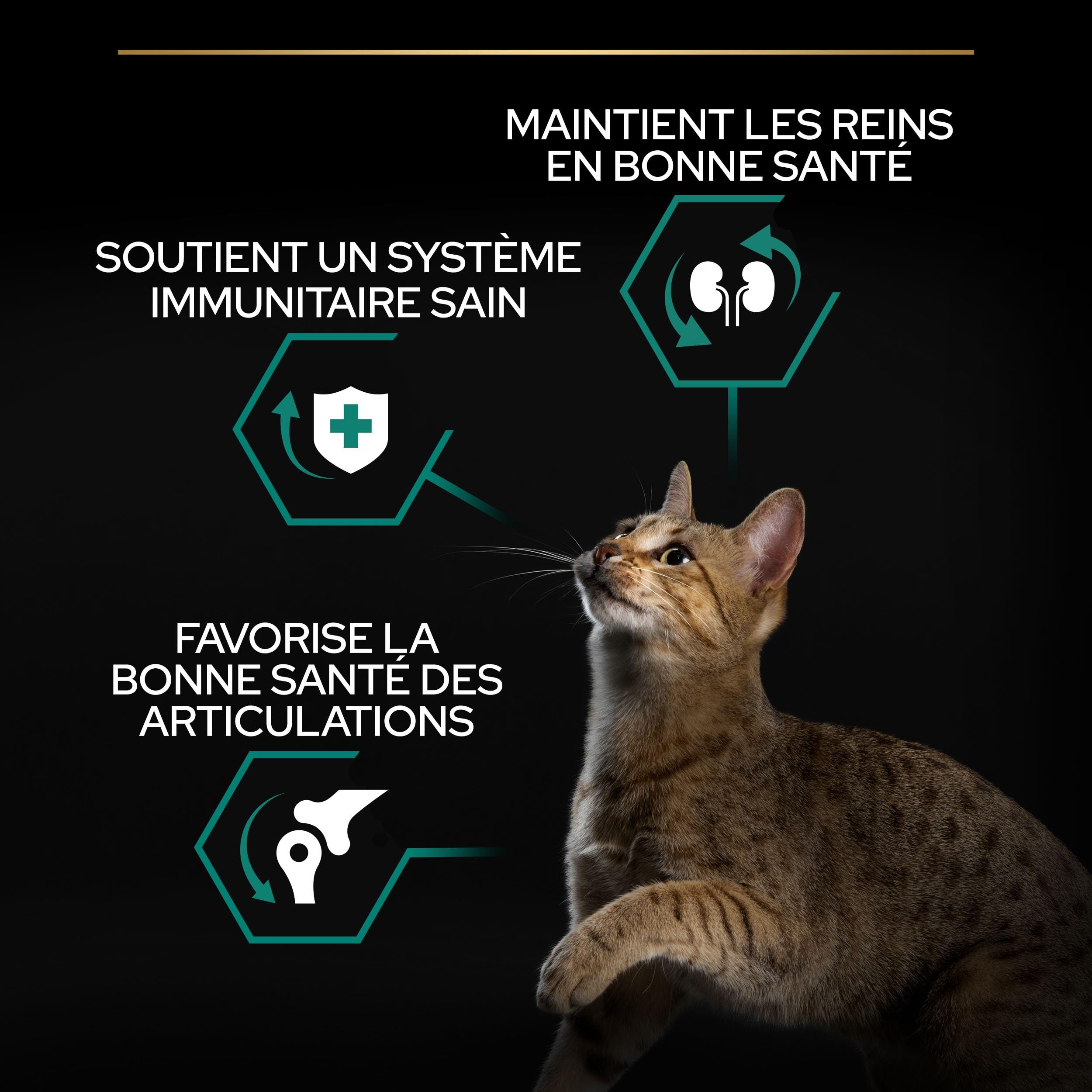 Pro Plan Cat Adult Huhn Trockenfutter Katze 3 kg