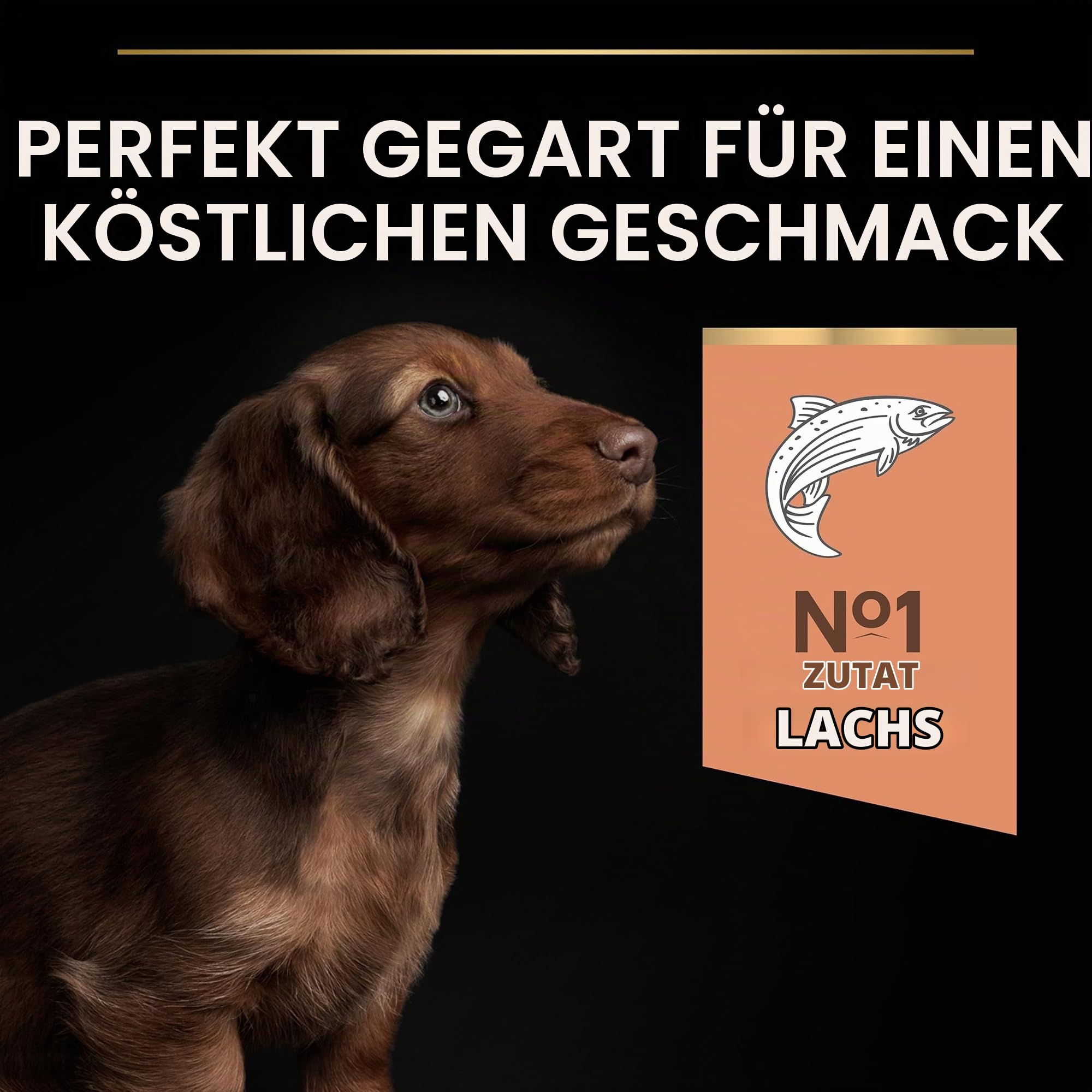 PRO PLAN Small Mini Adult Sensitive Skin Trockenfutter Lachs 3kg