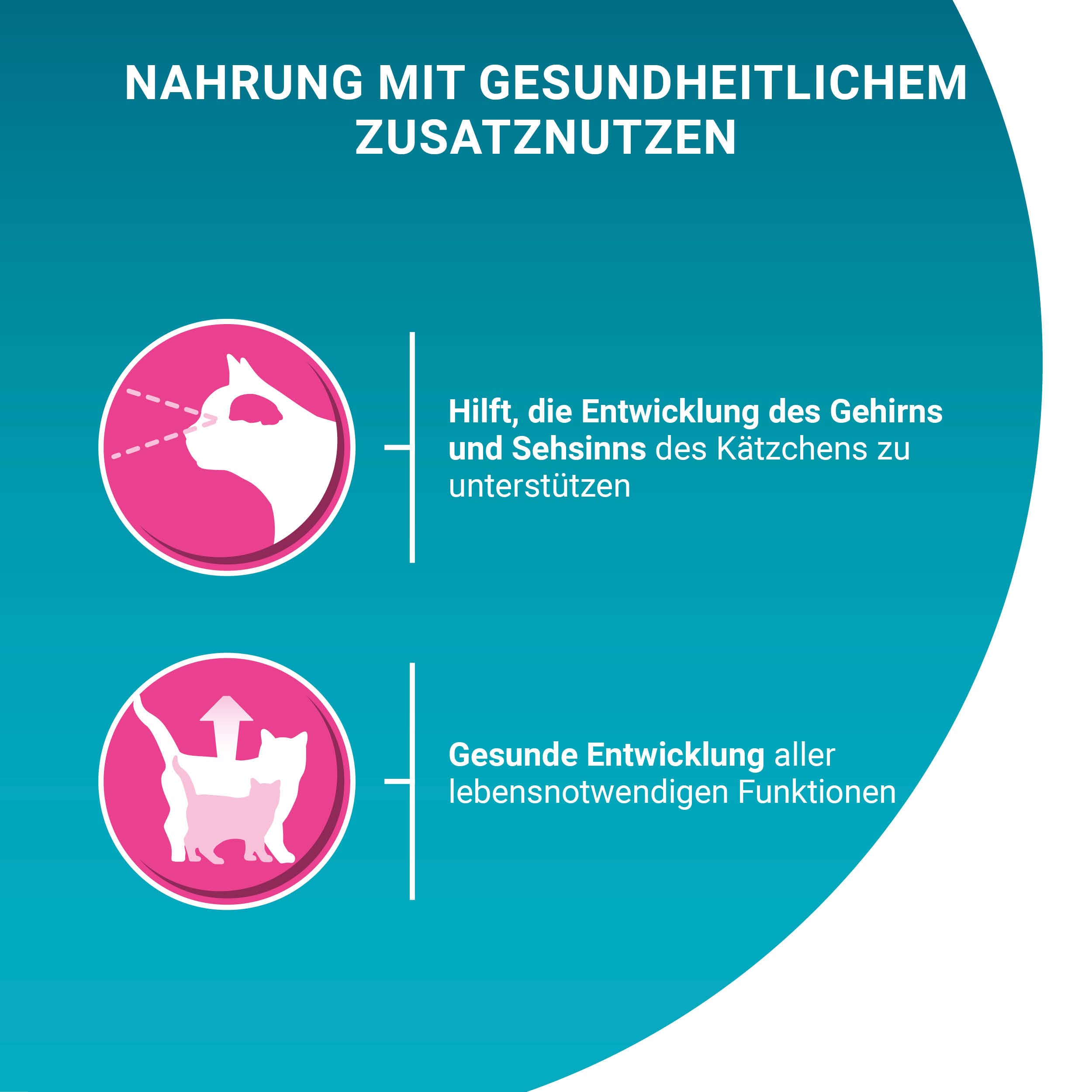 PURINA ONE BIFENSIS Junior Lachs Nassfutter 48er Pack Sauce