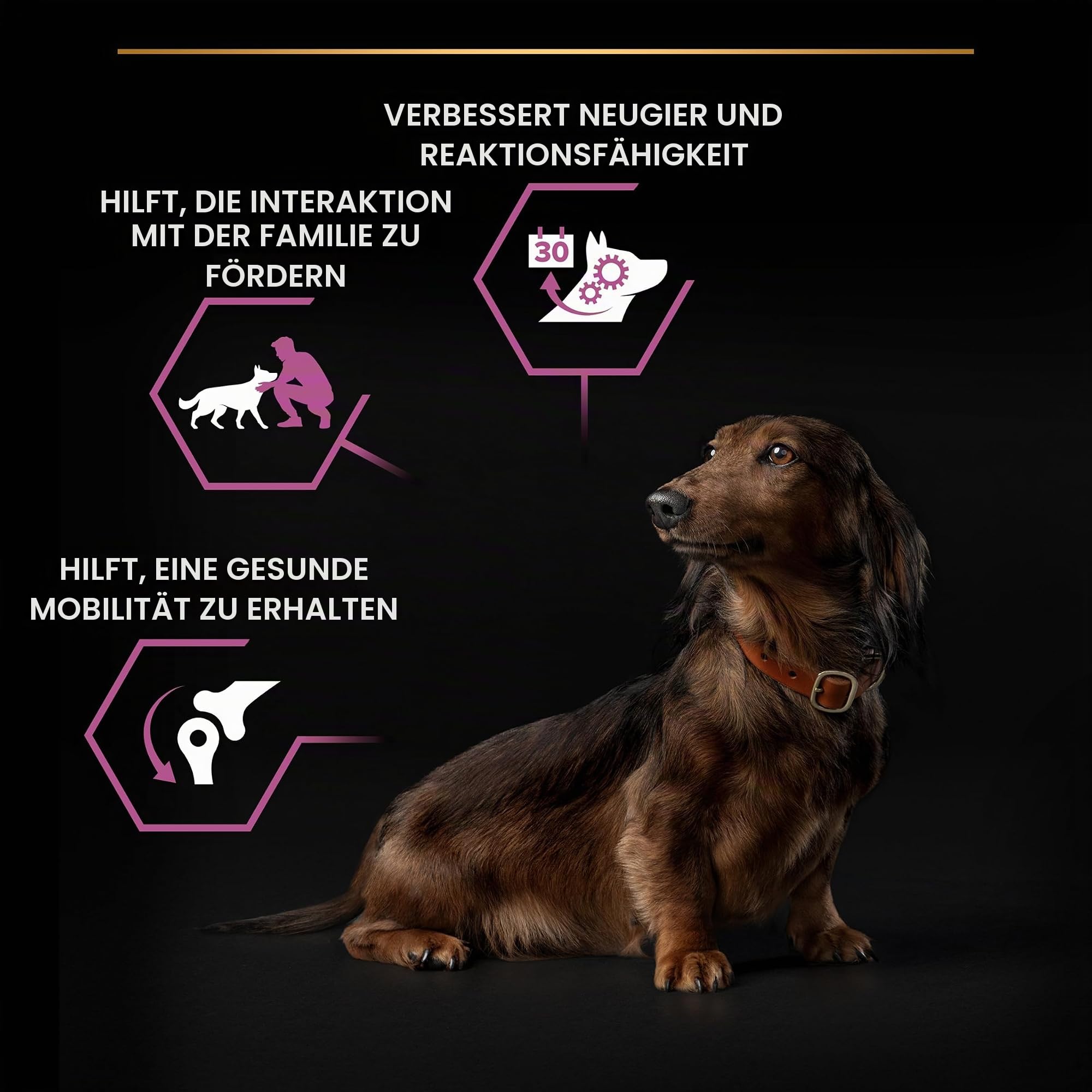 Pro Plan Small Mini Adult 9+ Hundefutter Huhn 3 kg