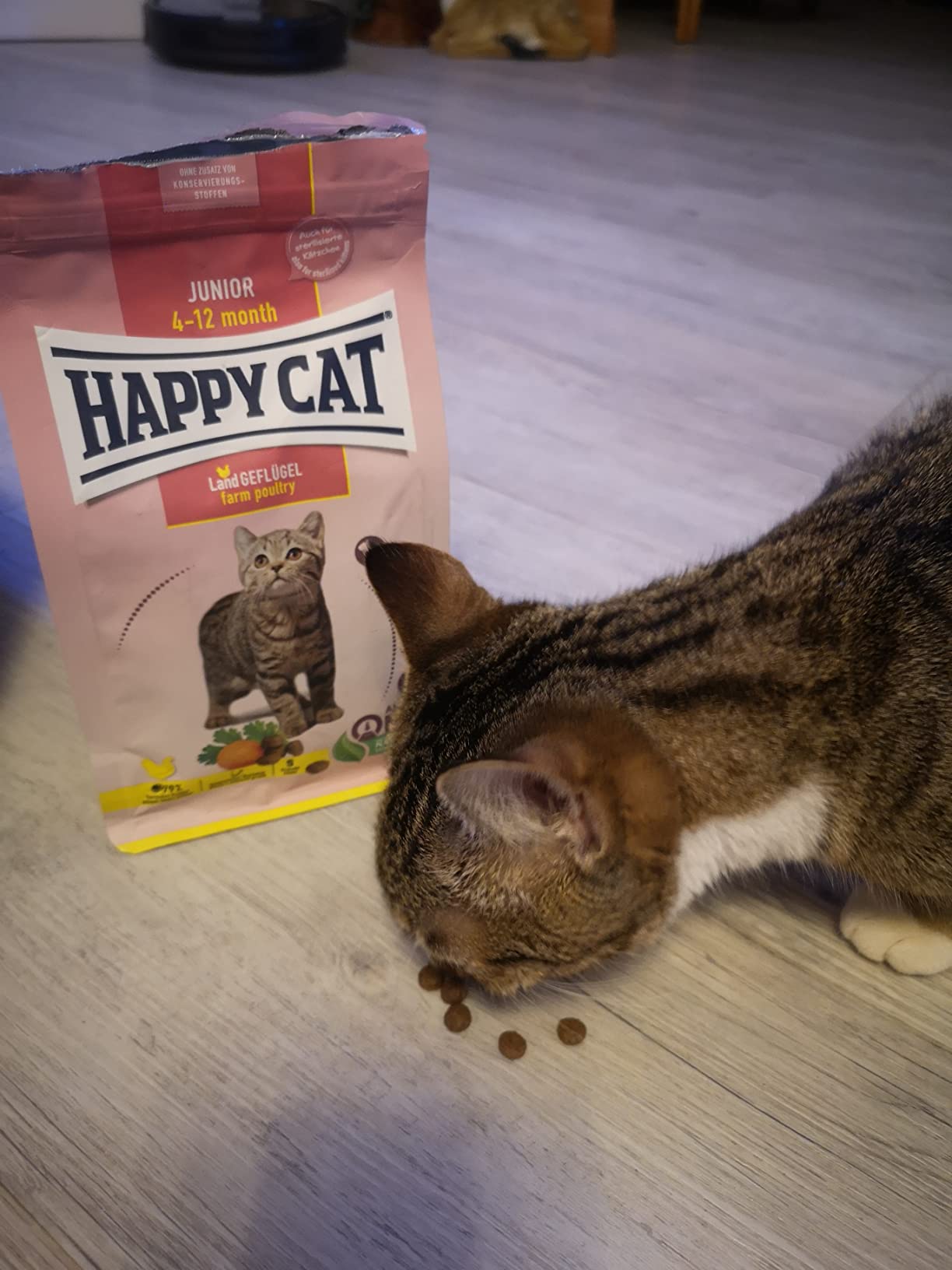 Happy Cat Young Junior Geflügel Trockenfutter 300g für Kitten