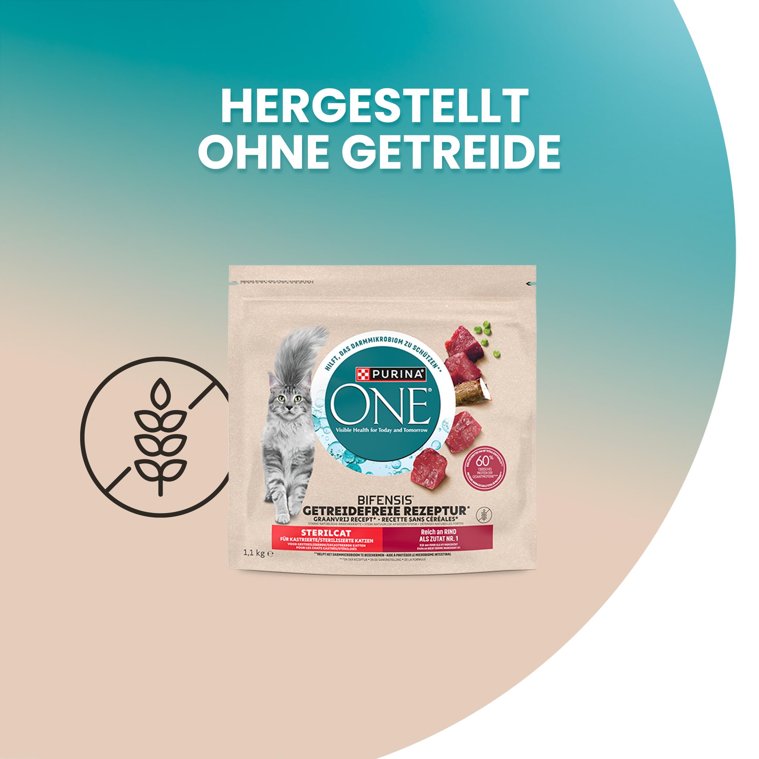 Purina One Bifensis Trockenfutter Rind 6x1,1kg steril