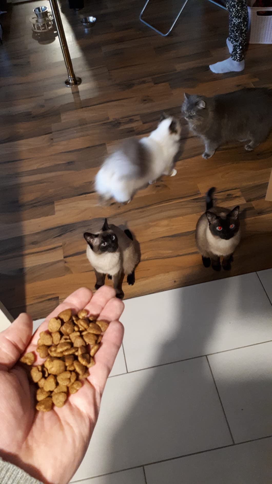 Happy Cat Culinary Crunchy Snack See-Kabeljau Leckerli 70 g
