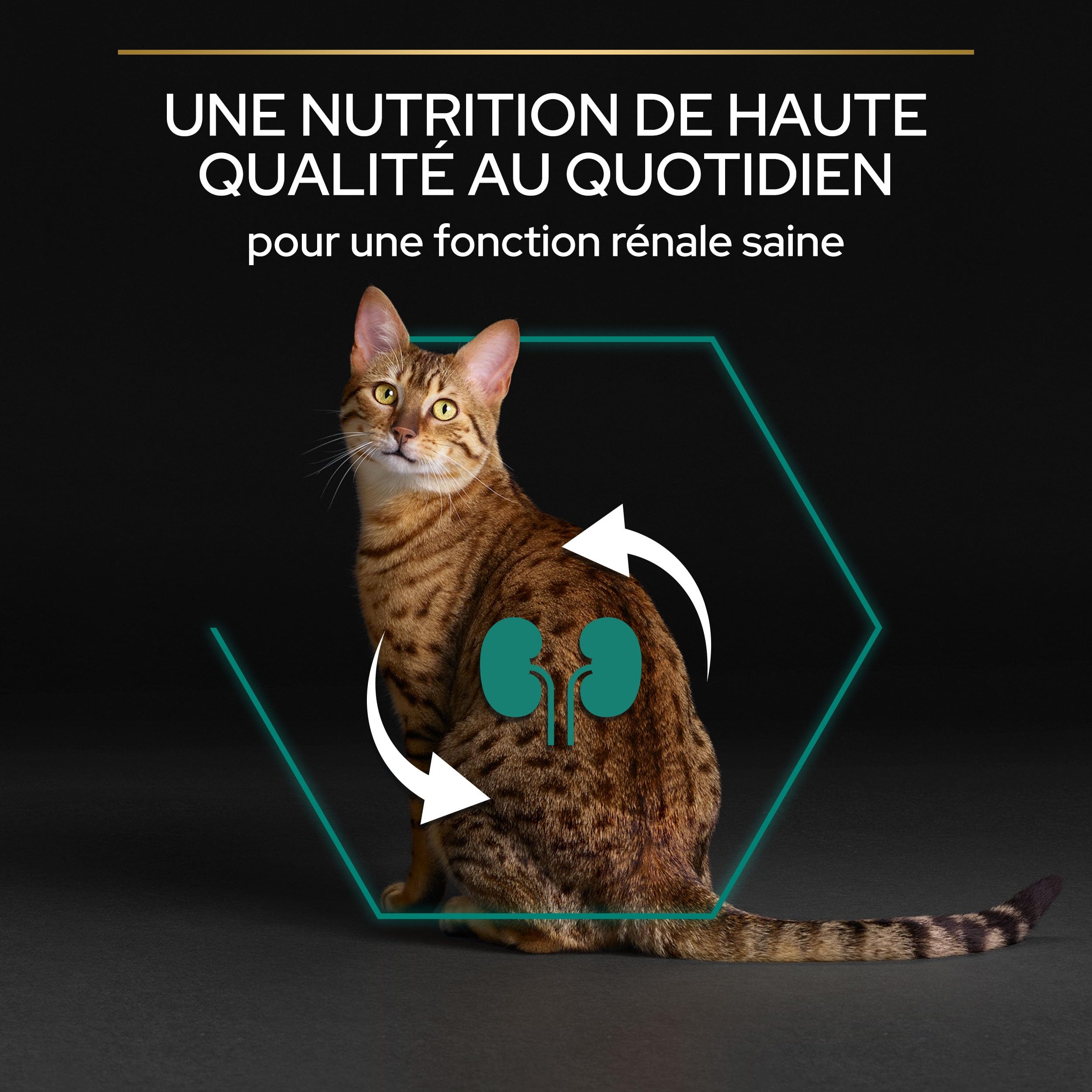 Pro Plan Cat Adult Huhn Trockenfutter Katze 3 kg