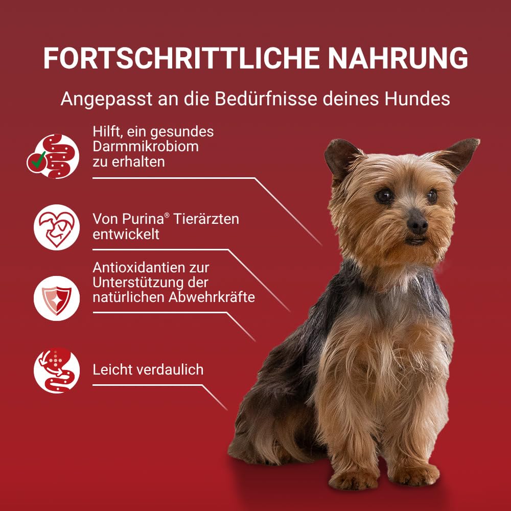 Purina One Mini Small Nassfutter Huhn 26x85g Hund