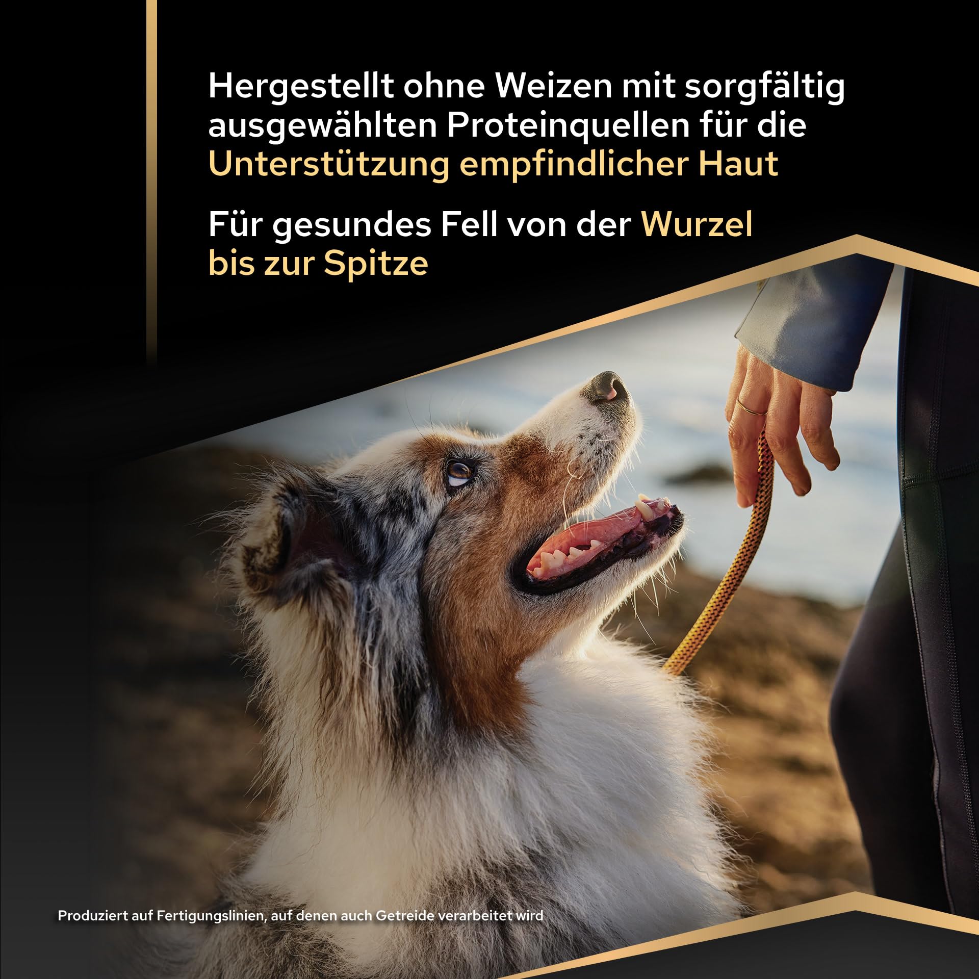 Purina Pro Plan Medium Adult Trockenfutter Lachs 10kg Haut