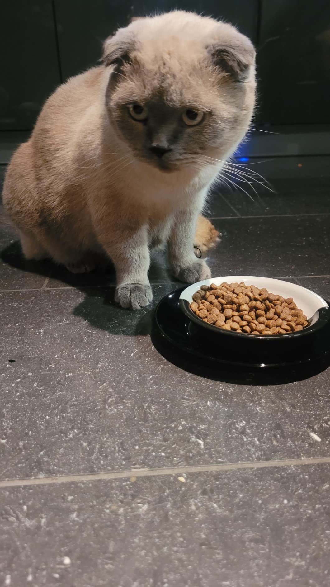 Happy Cat Young Junior Geflügel Trockenfutter 300g für Kitten