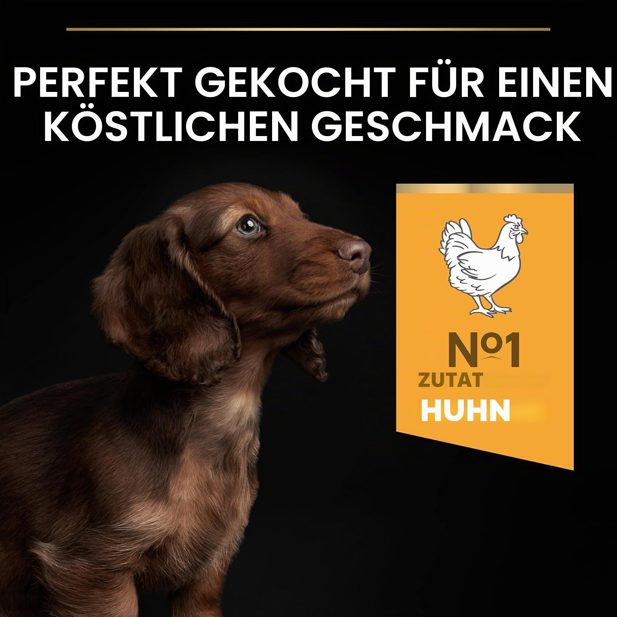 Pro Plan Small Mini Puppy Healthy Start Huhn 3 kg