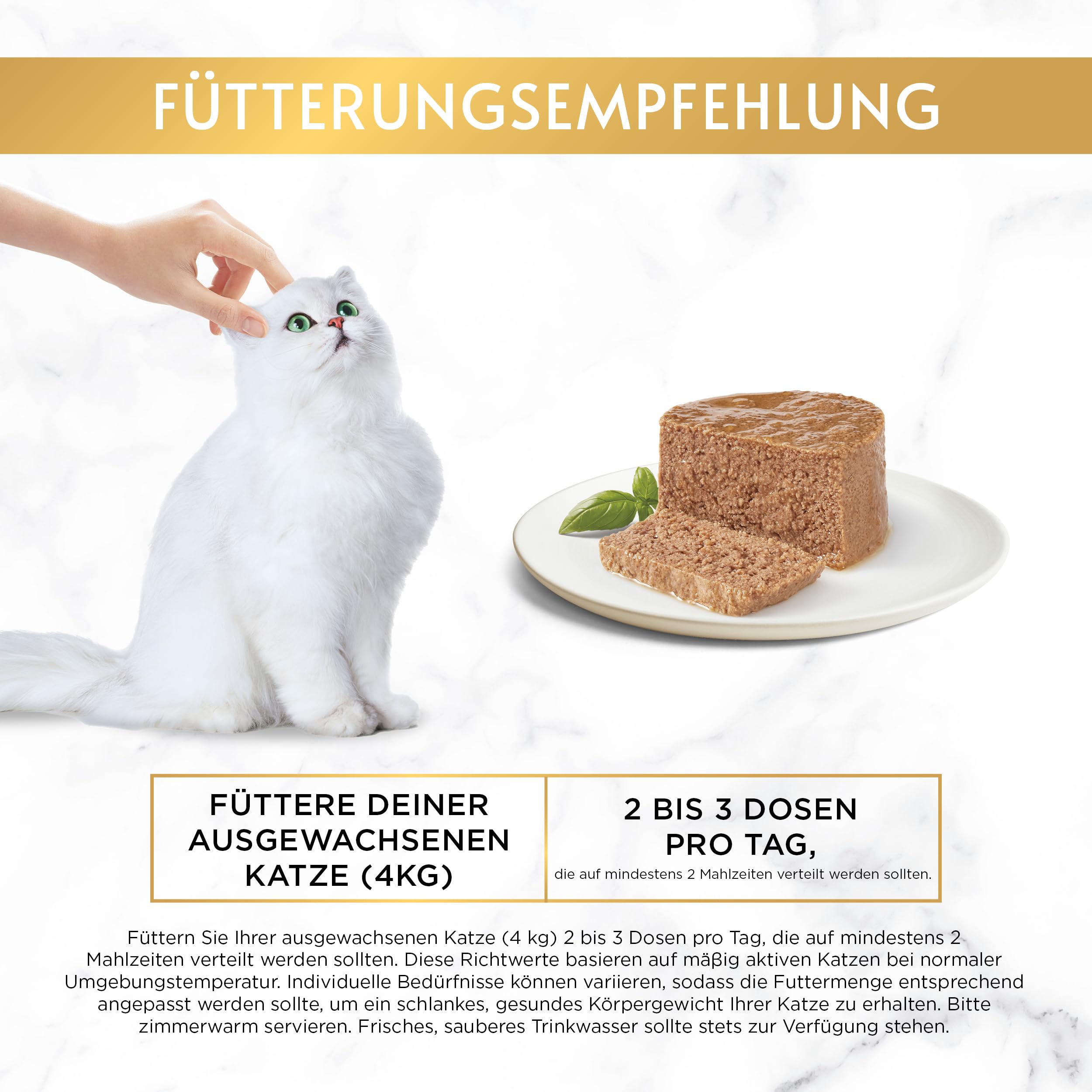 GOURMET Perle Pastete Nassfutter Truthahn 12x85g