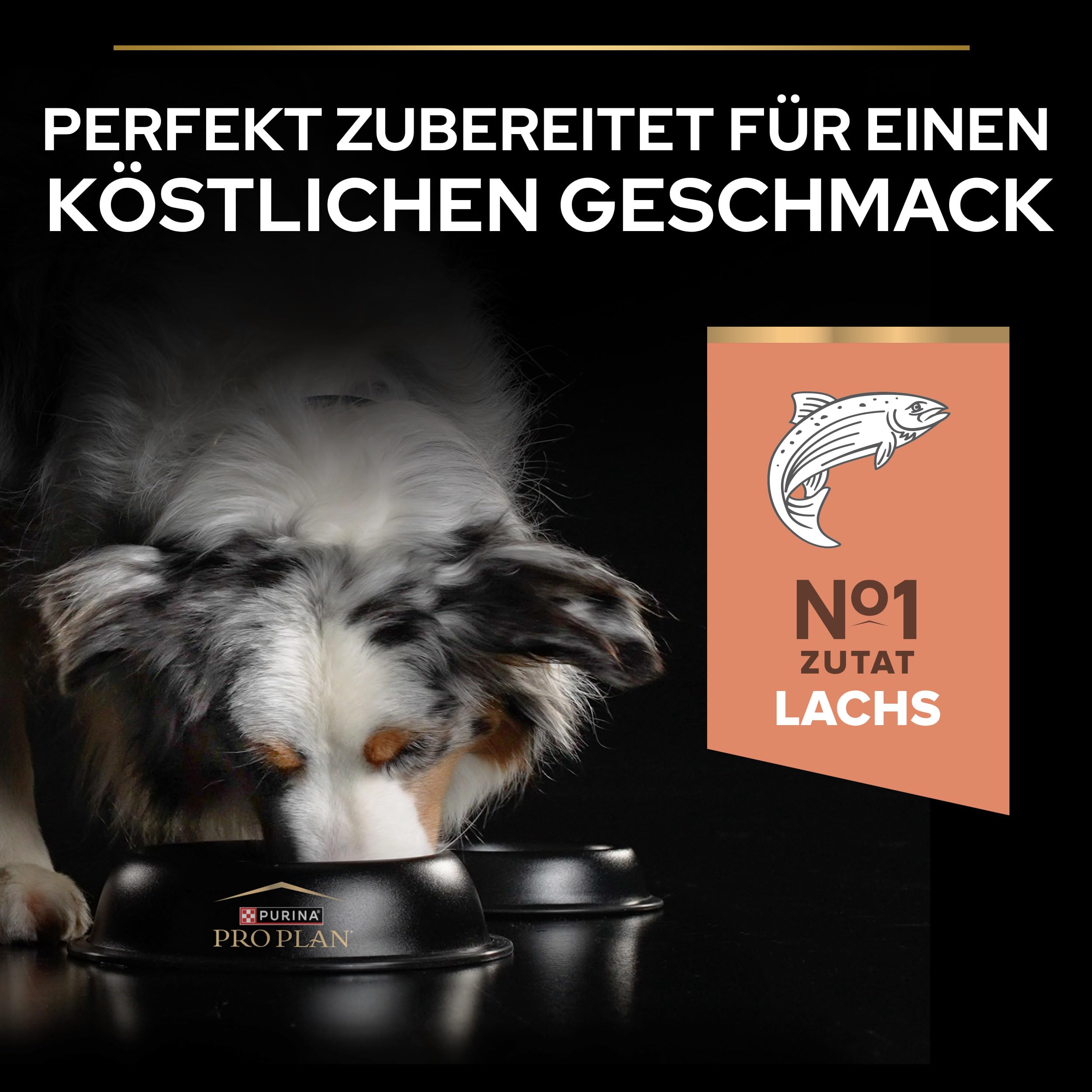 Purina Pro Plan Medium Adult Trockenfutter Lachs 10kg Haut