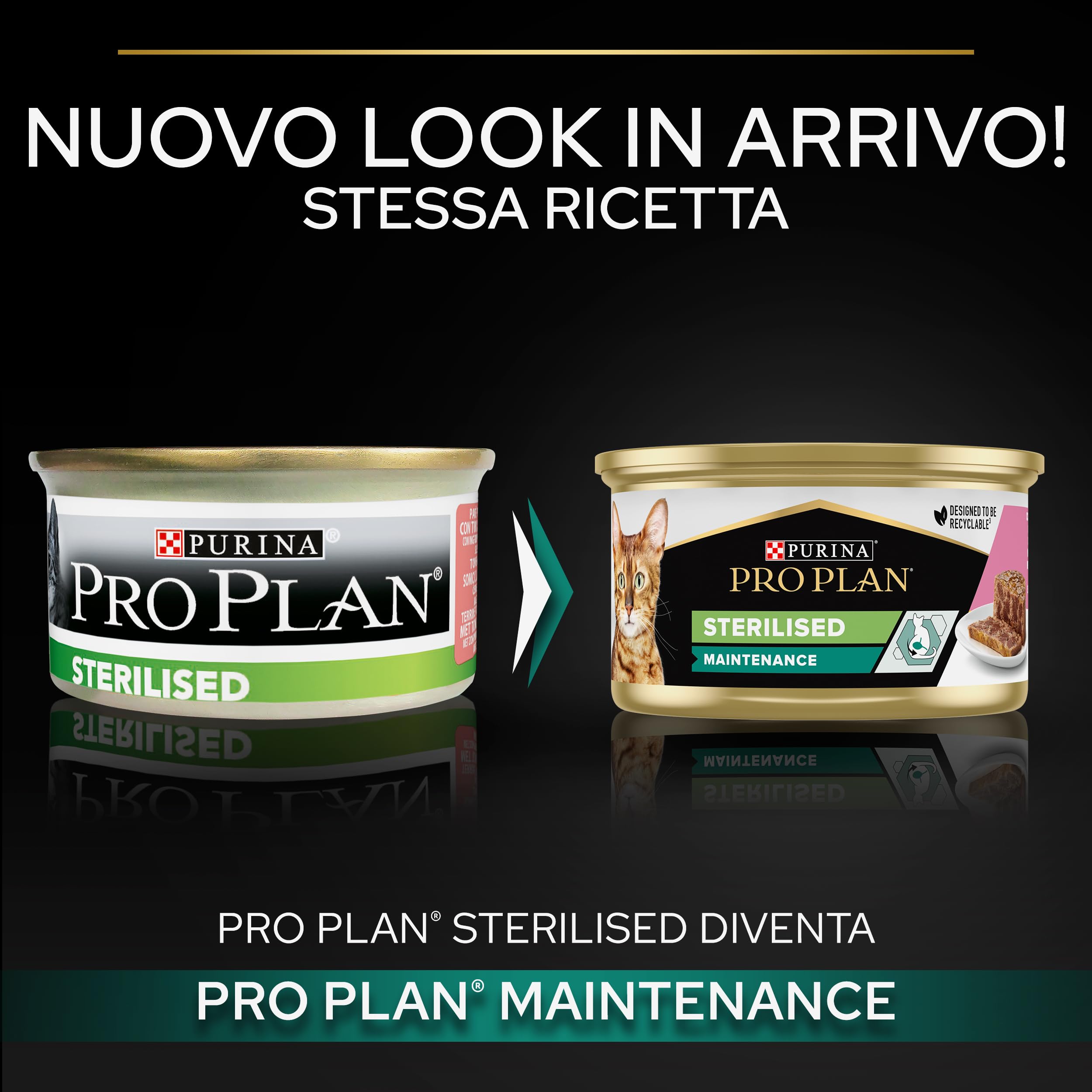Purina Pro Plan Sterilised Nassfutter Pastete Lachs Thunfisch 12x85g