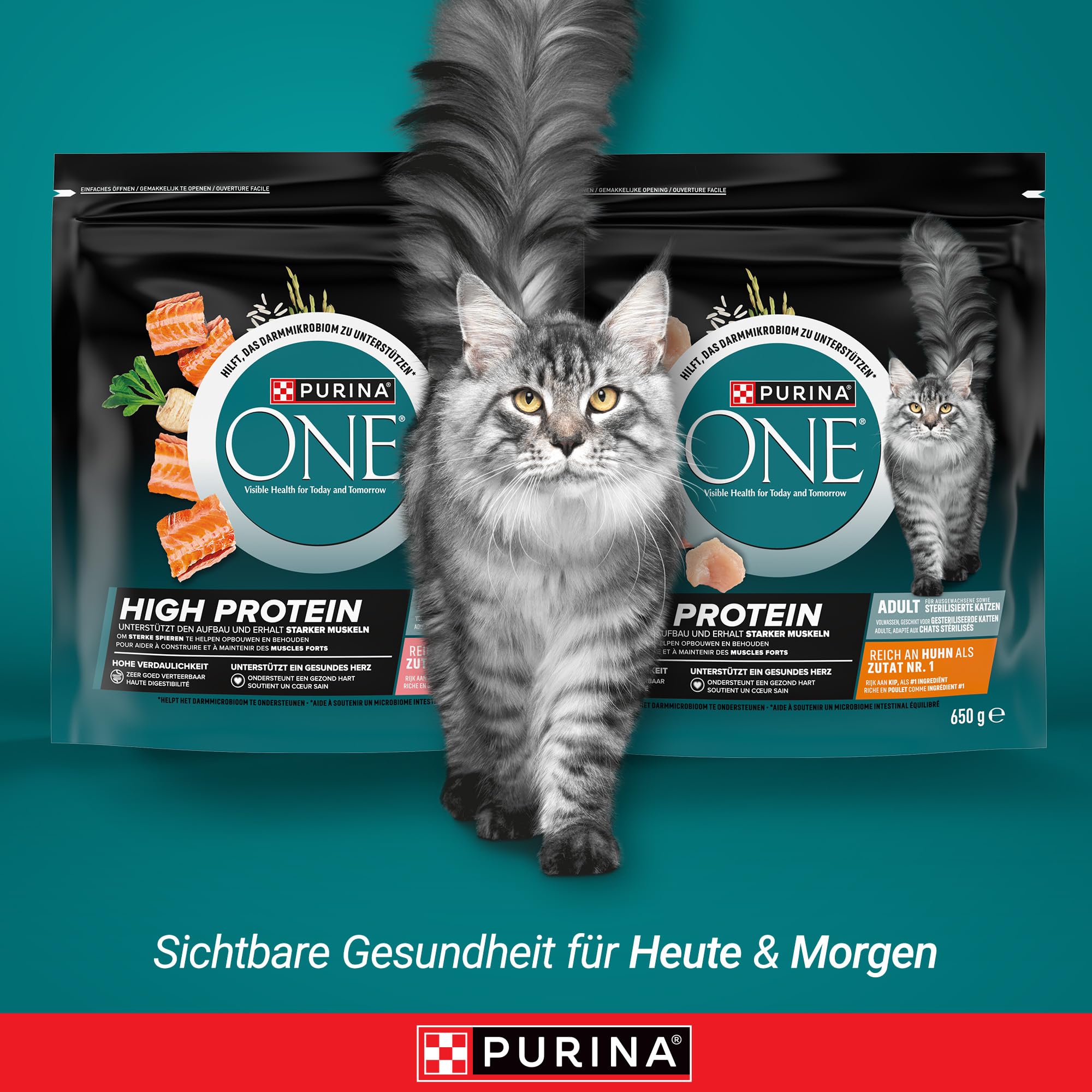 PURINA ONE High Protein Lachs Trockenfutter 6x900 g
