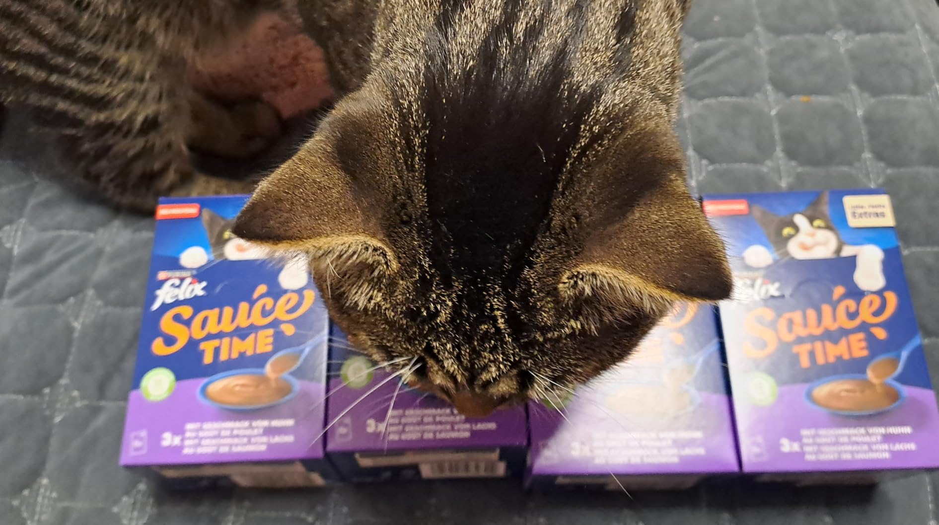 Felix Sauce Time Huhn Lachs Katzensnack 24x40g cremig
