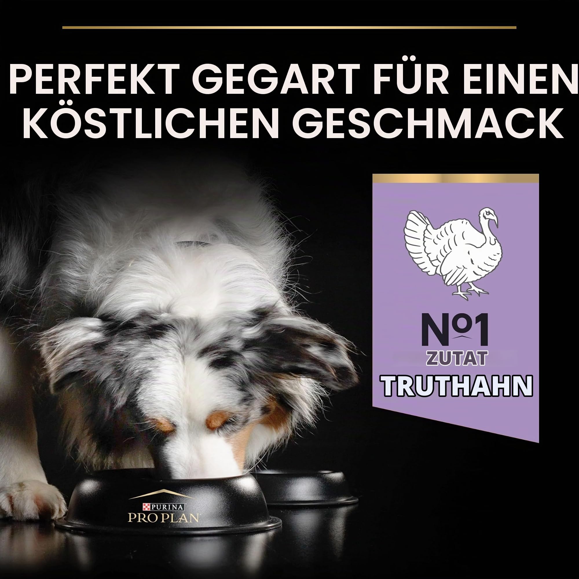 PRO PLAN Grain Free Medium Large Adult Trockenfutter Truthahn 12kg