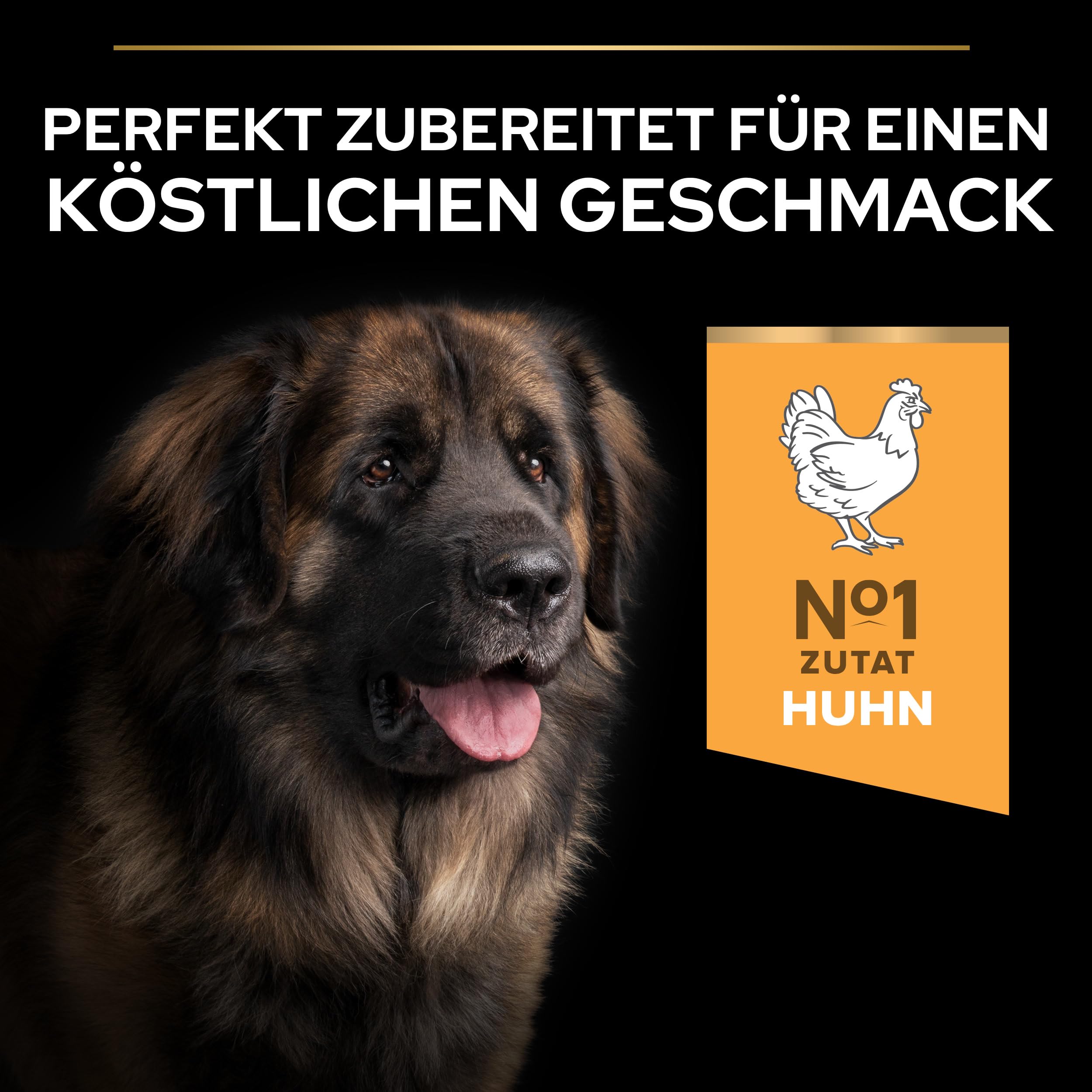 PRO PLAN Large Robust Adult Trockenfutter Huhn 10kg große Hunde