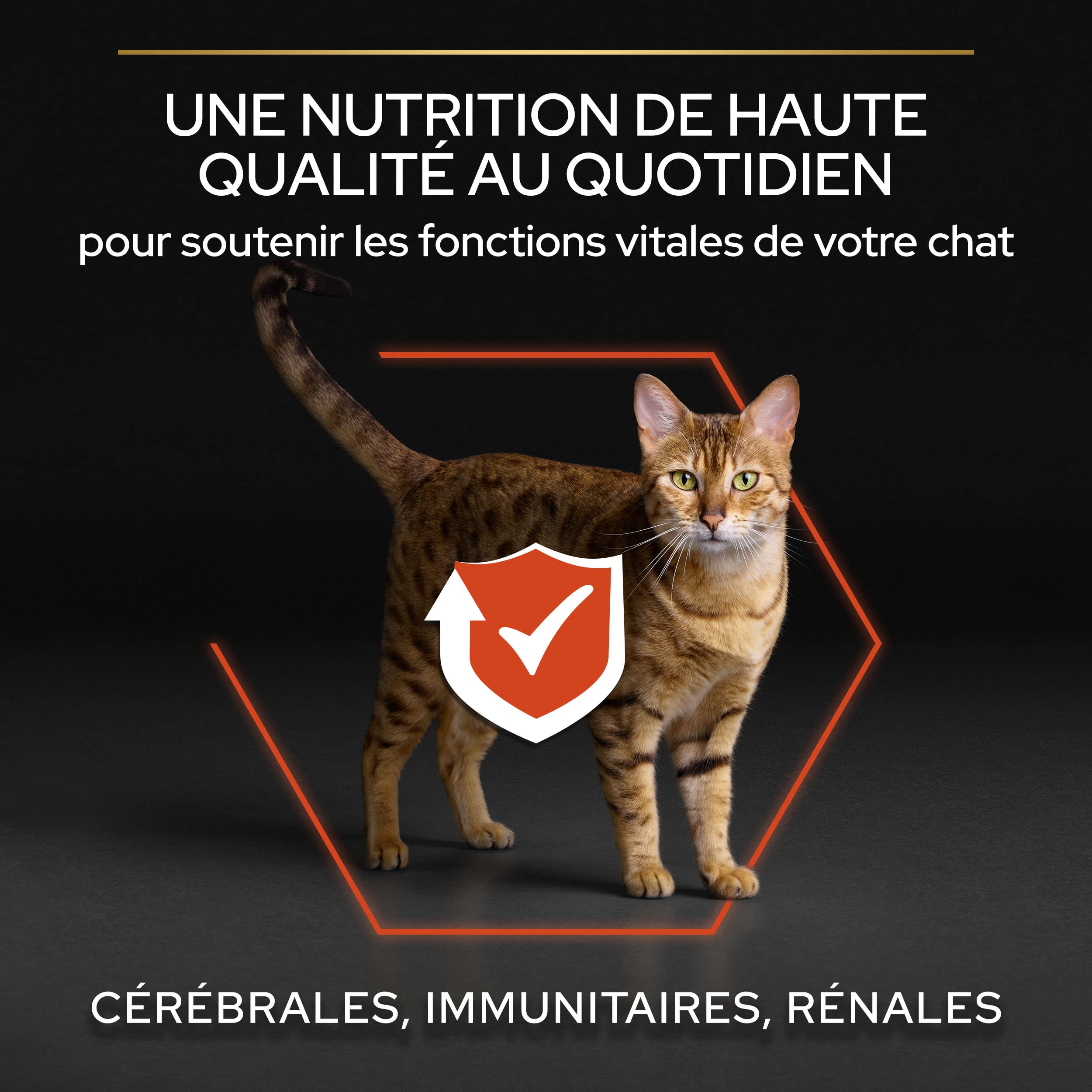 Pro Plan Vitalfunktionen Trockenfutter Lachs 1,5 kg Katze