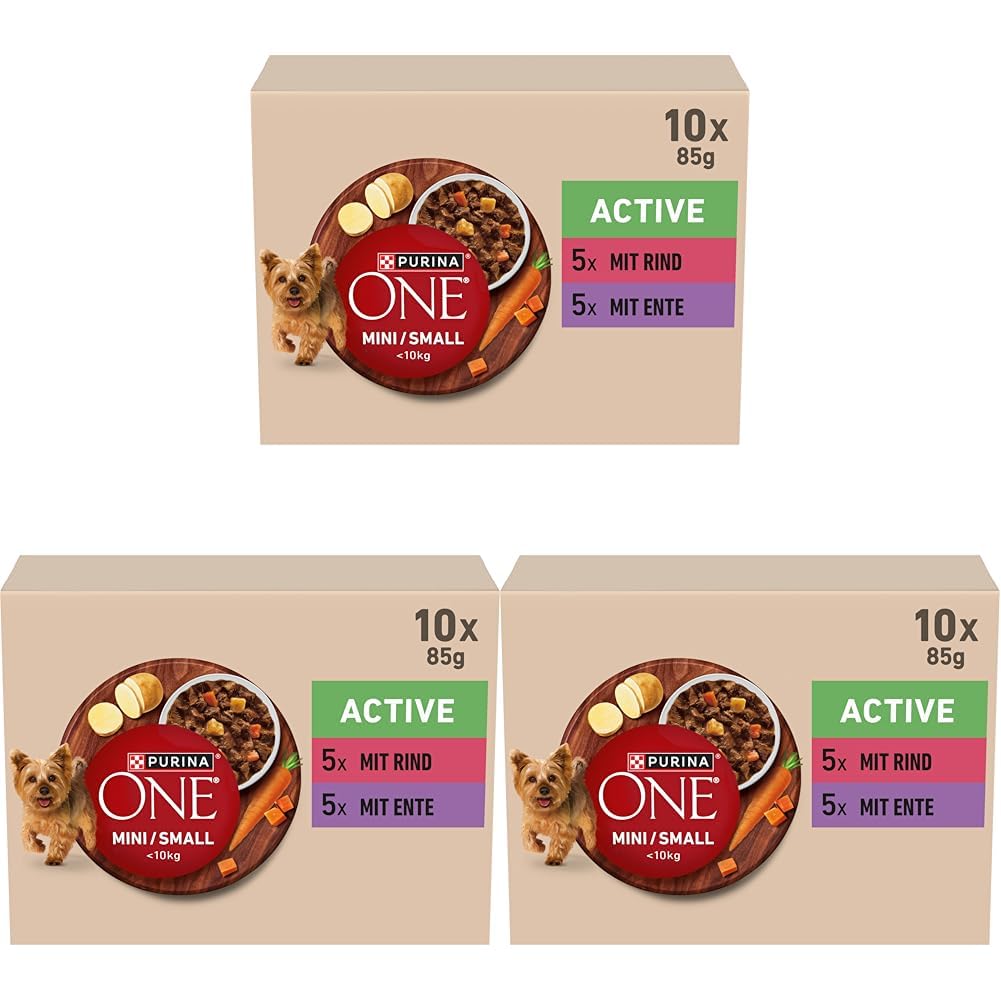 Purina One Mini Small Active Nassfutter 60x85 g