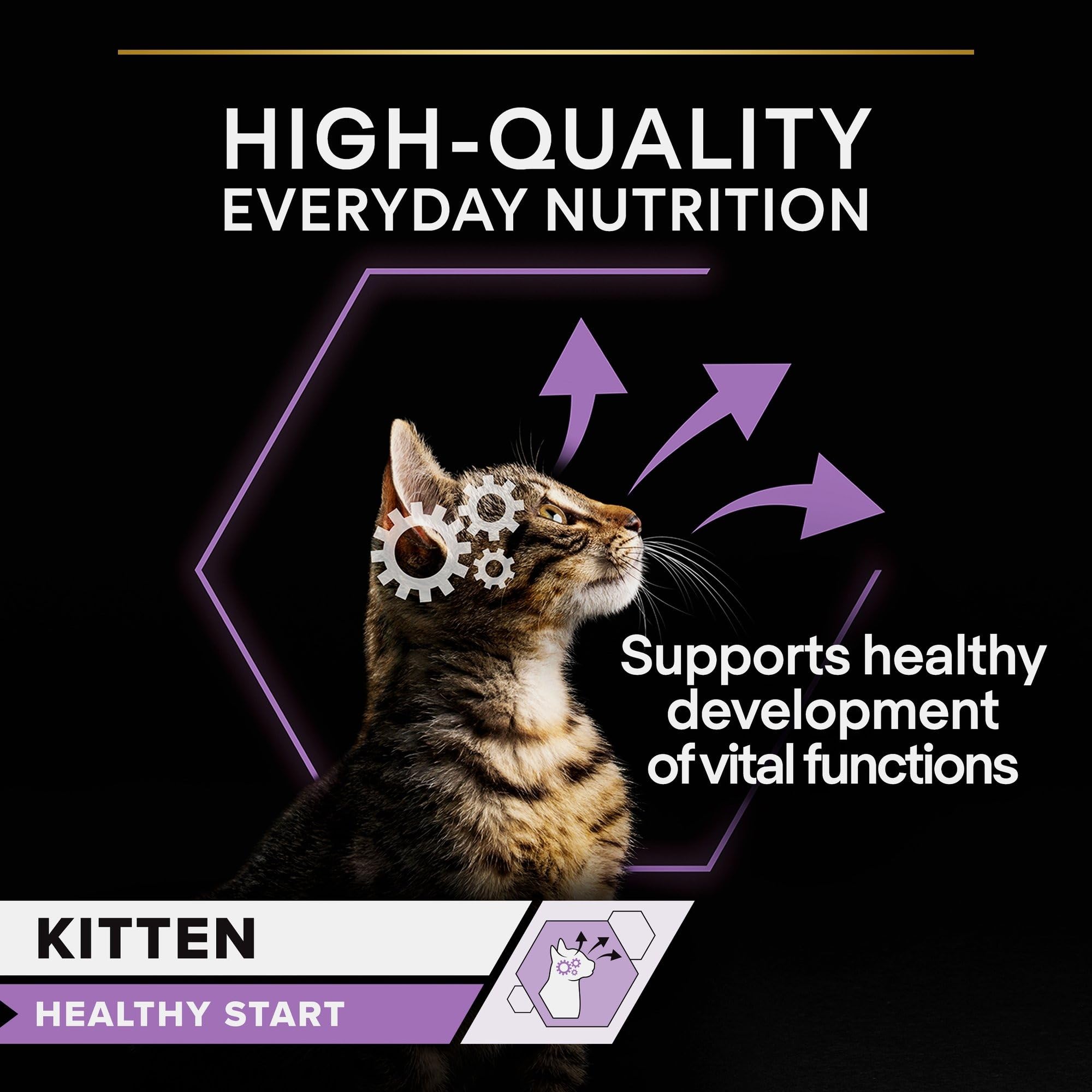 Purina Pro Plan Kitten Healthy Start Nassfutter Truthahn 10x85g
