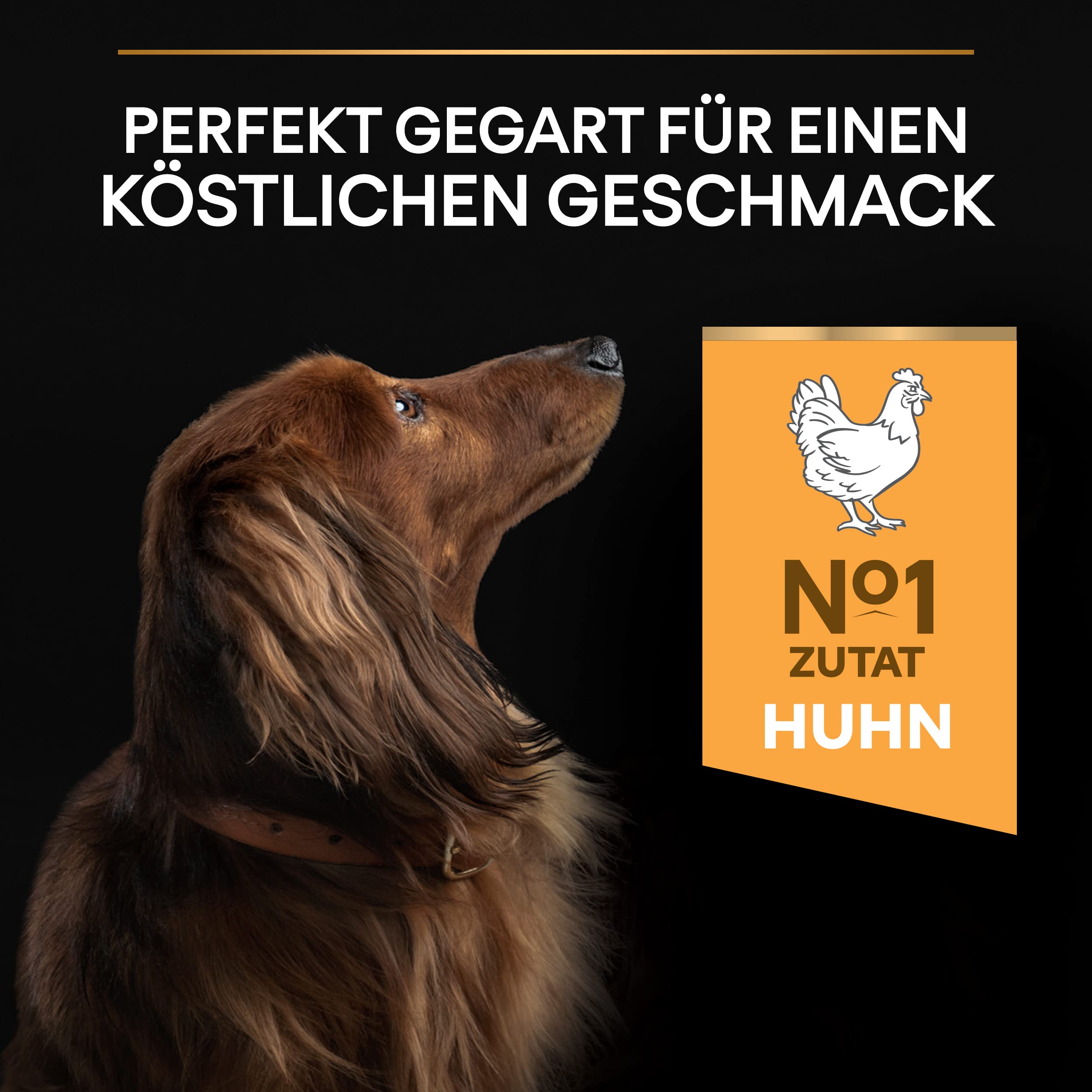 Pro Plan Small & Mini Adult Trockenfutter Huhn 3 kg