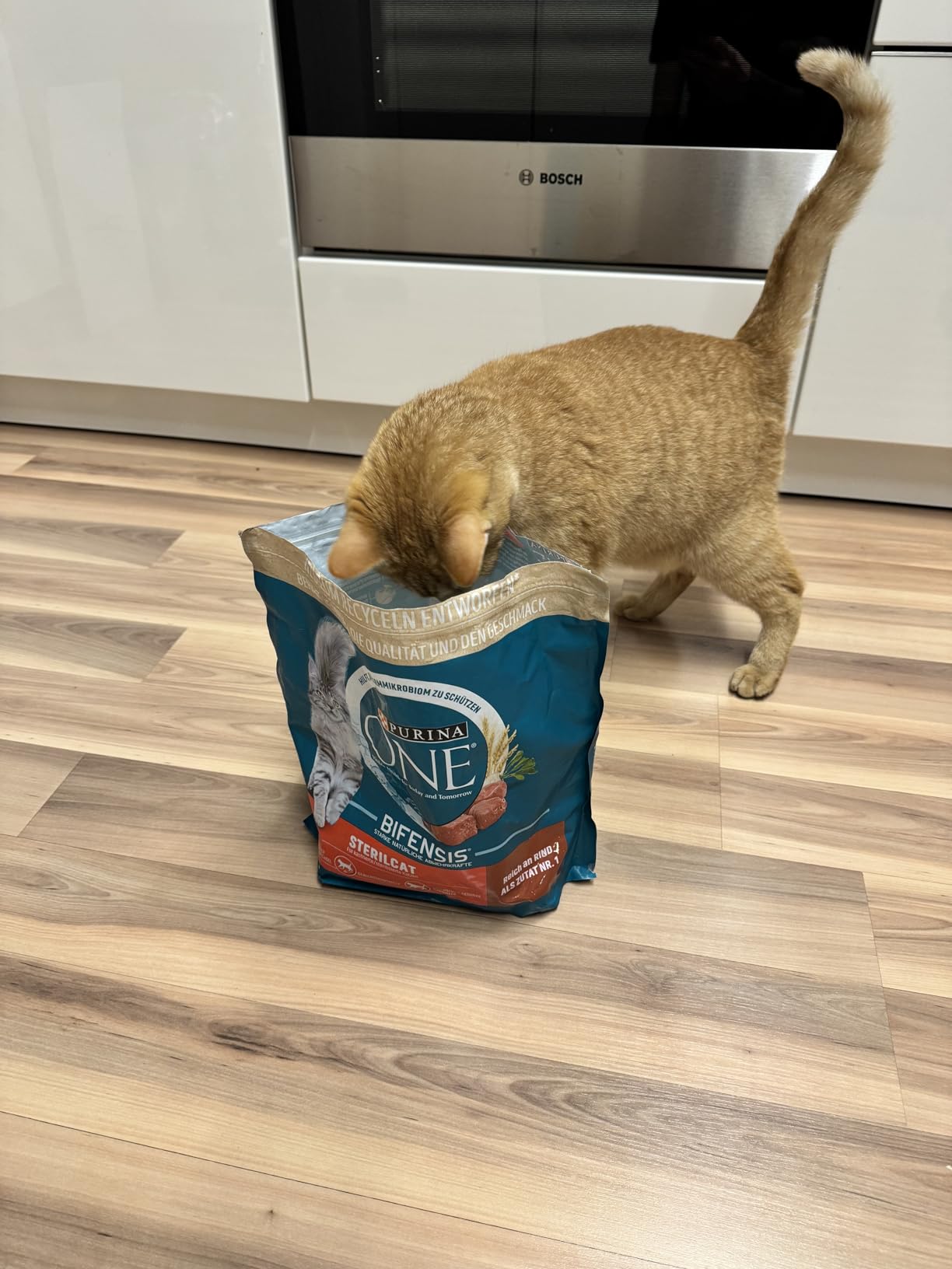 Purina One Bifensis Sterilcat Trockenfutter Rind 6x1,4kg