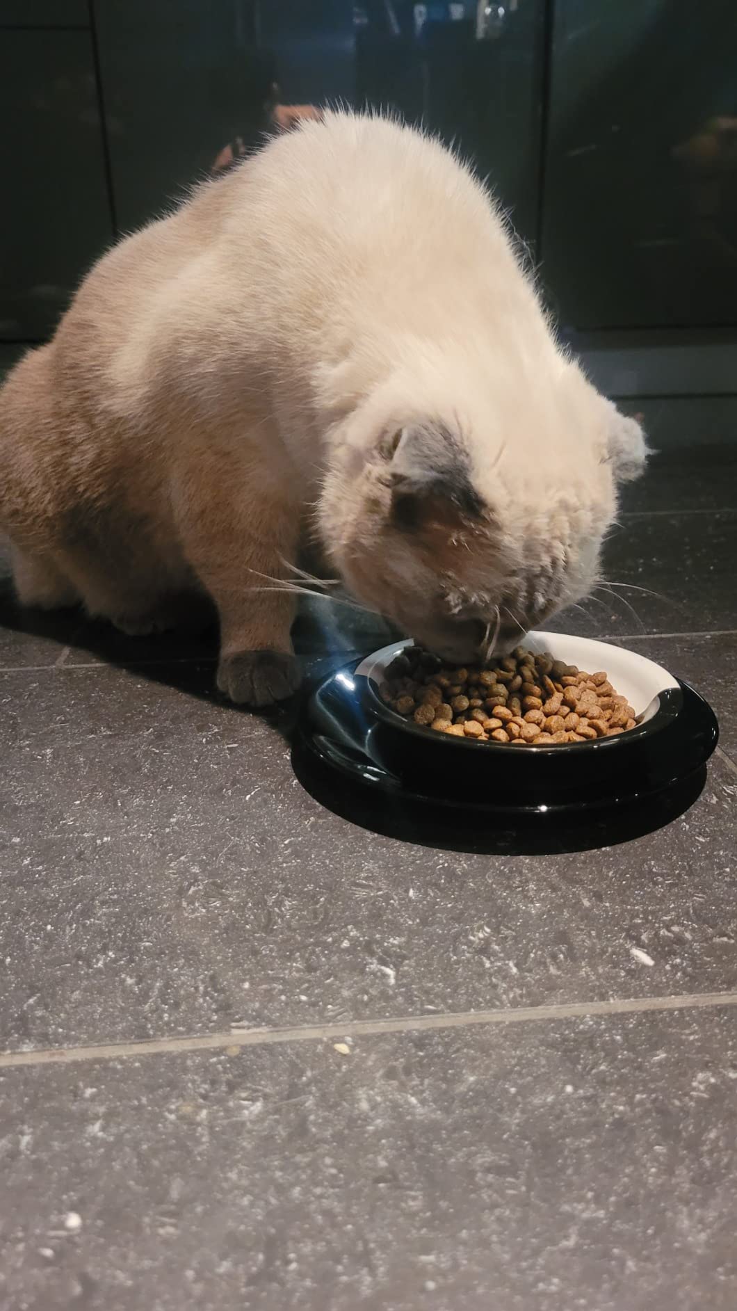 Happy Cat Young Junior Geflügel Trockenfutter 300g für Kitten