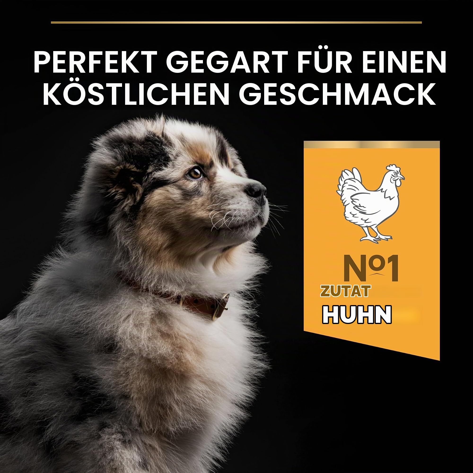 Purina Pro Plan Medium Puppy Trockenfutter Huhn 3kg Gelenke