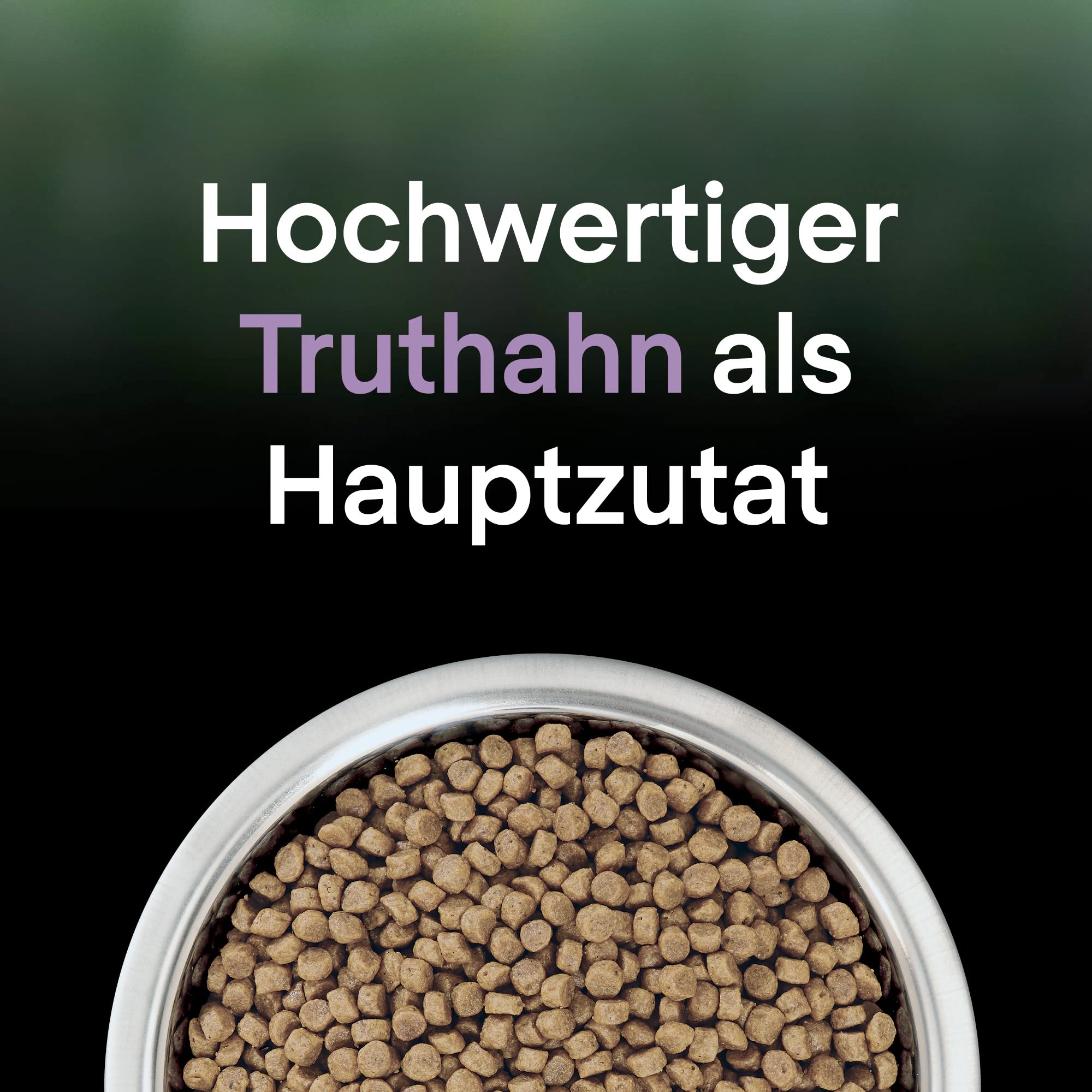 Pro Plan LiveClear Kitten Truthahn Trockenfutter 6x1,4 kg