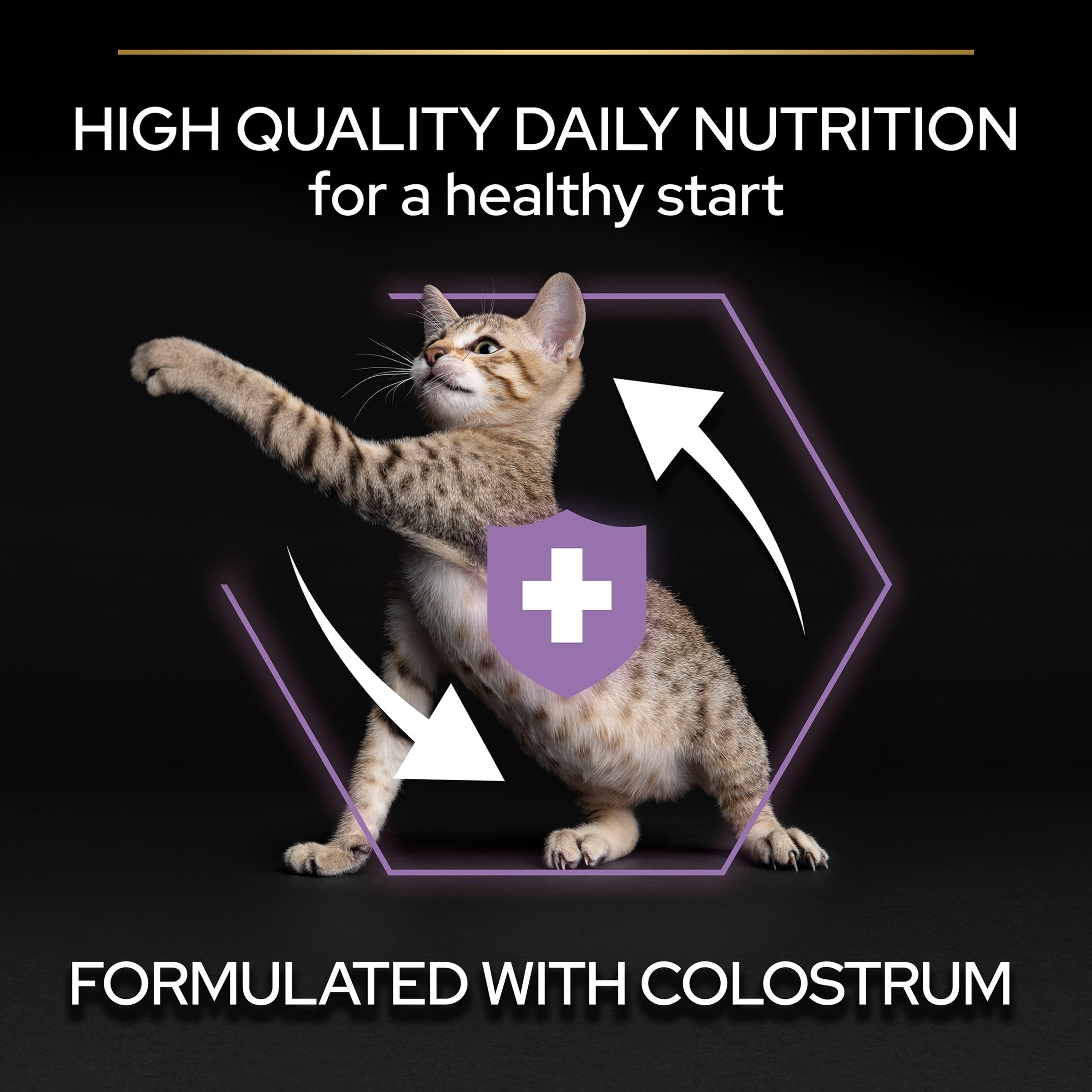 Pro Plan Kitten Huhn Trockenfutter 12kg OPTISTART Wachstum