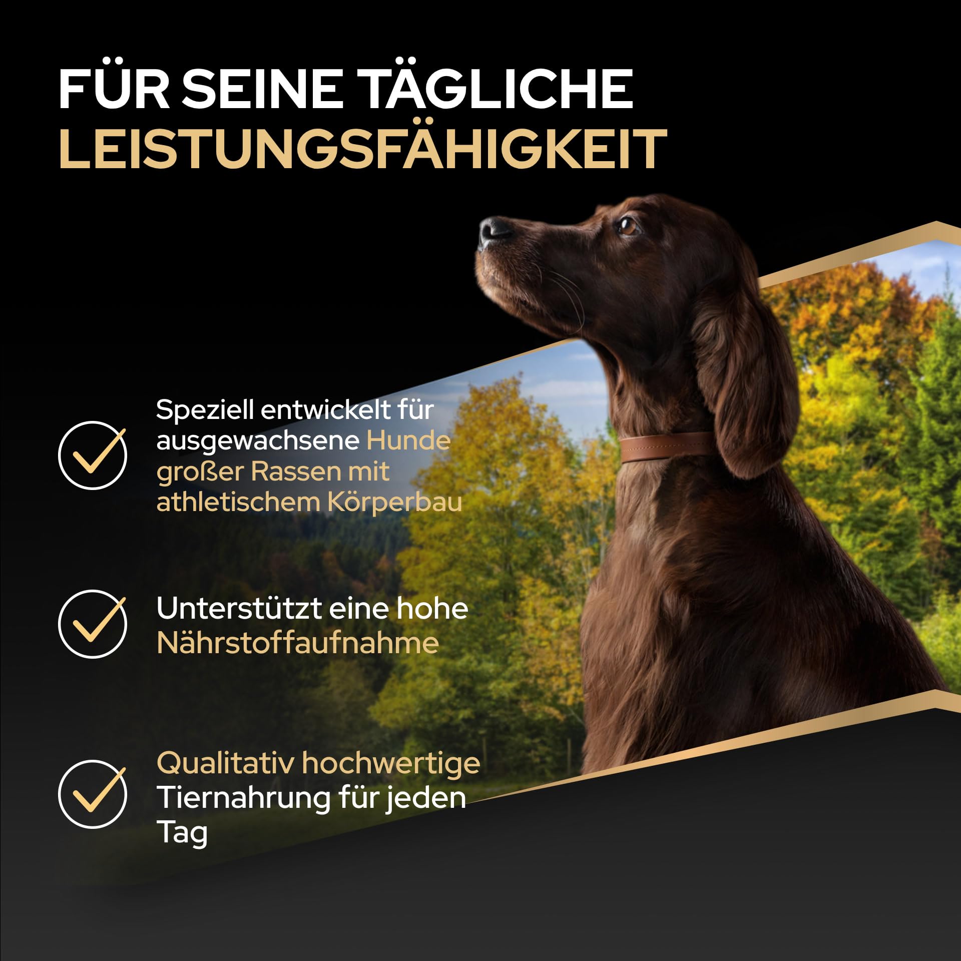 Pro Plan Large Athletic Adult Hundefutter Huhn 16 kg