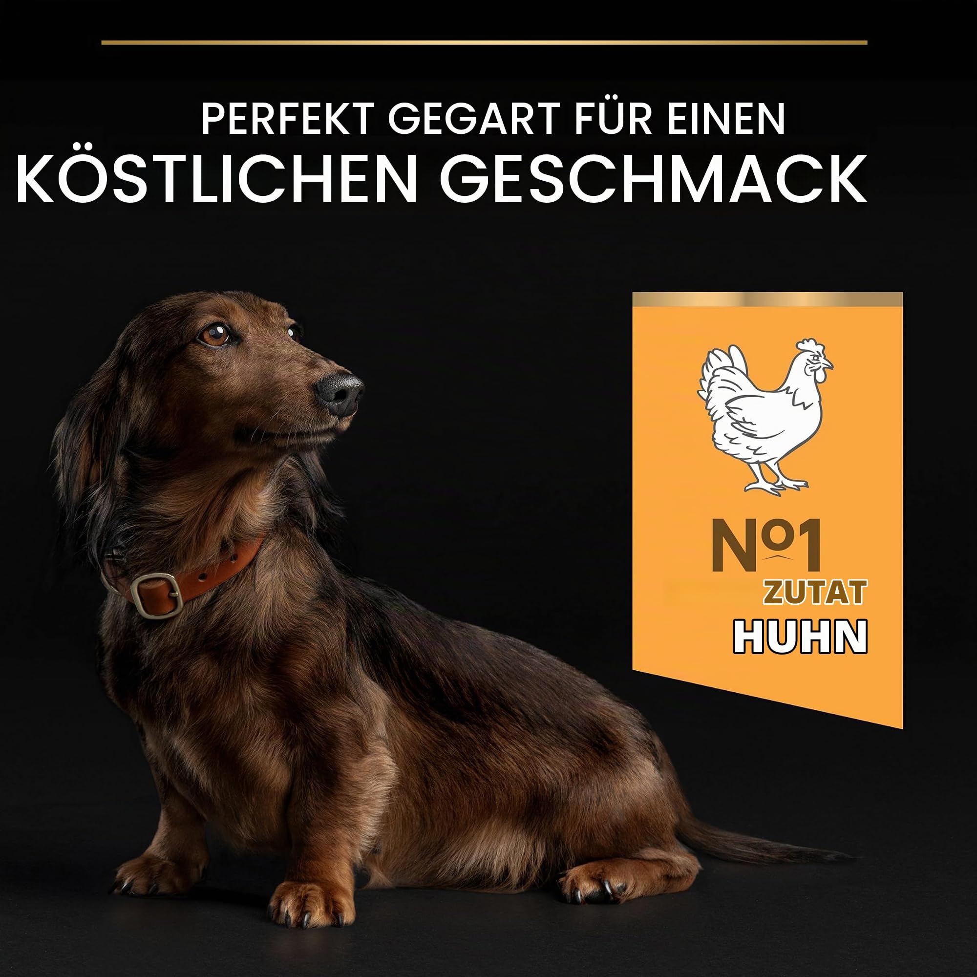 Pro Plan Small Mini Adult 9+ Hundefutter Huhn 3 kg
