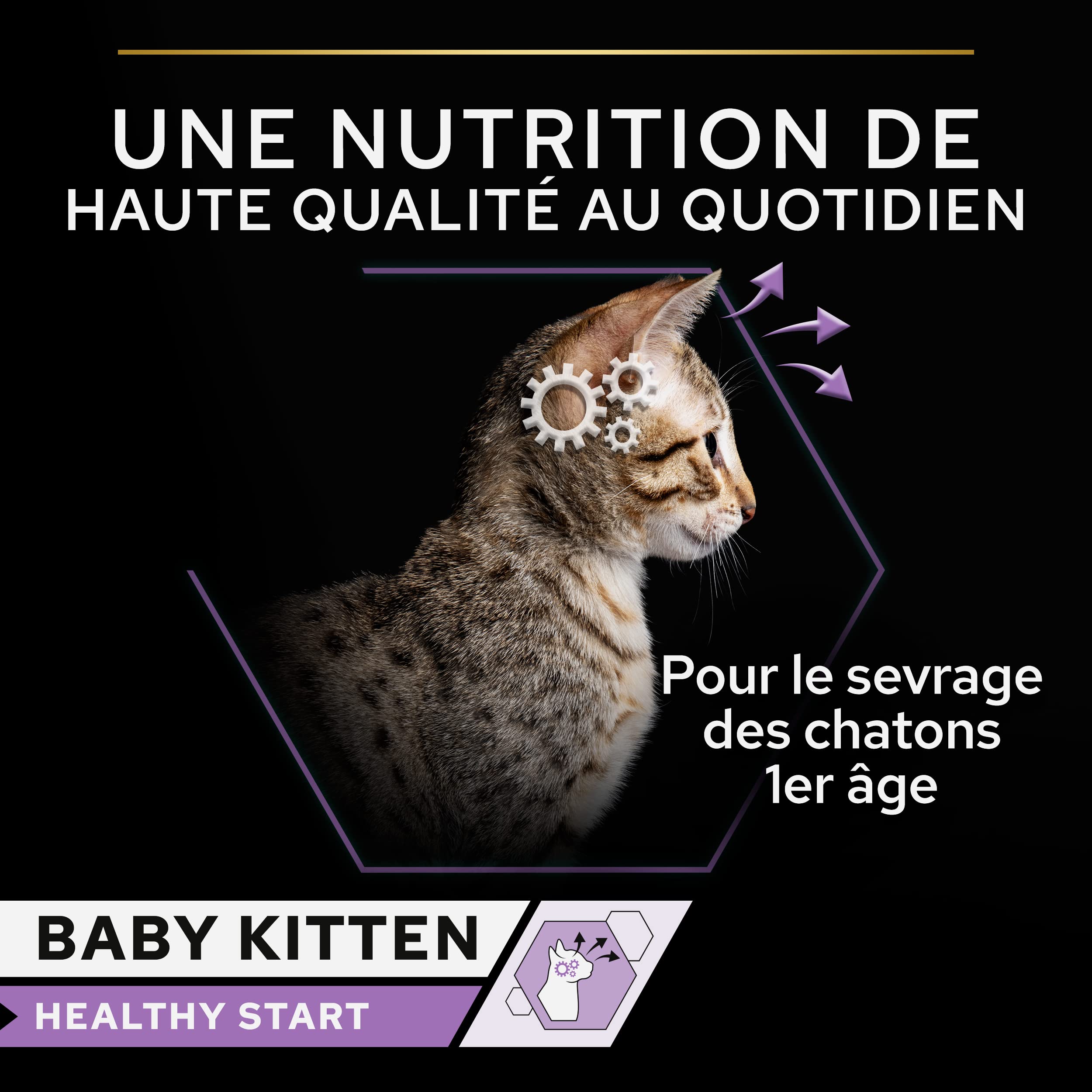 Pro Plan Baby Kitten Nassfutter Huhn 24x85 g