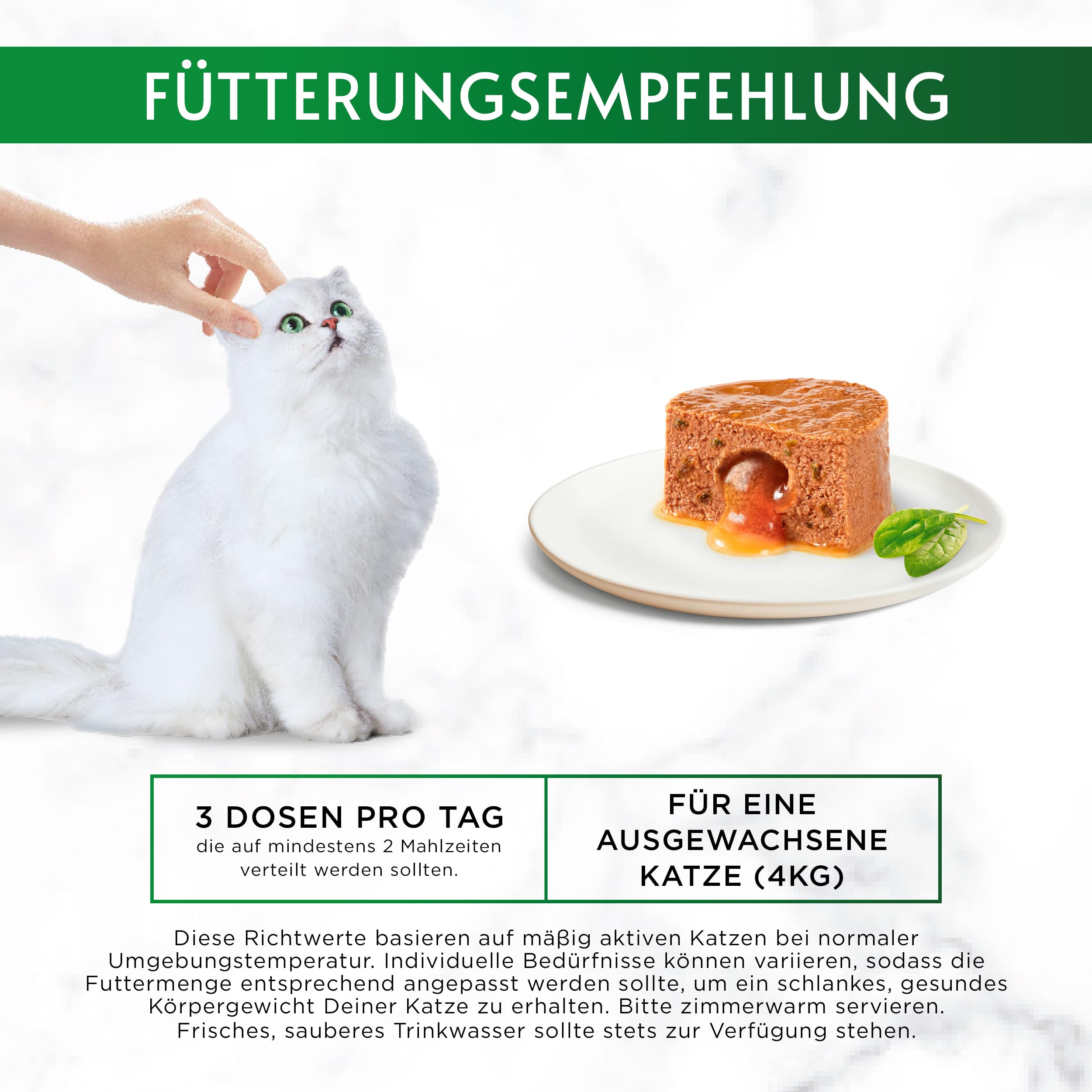 Gourmet Nature's Creations Huhn Nassfutter 12x85g Mousse