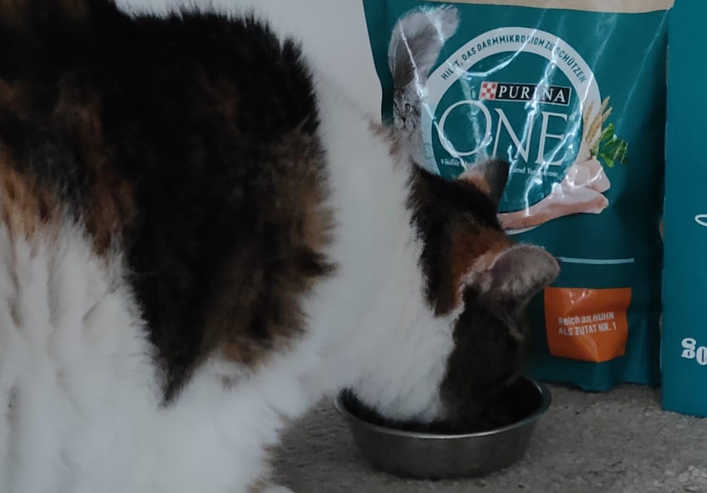 PURINA ONE BIFENSIS Adult Trockenfutter Huhn 6x750g
