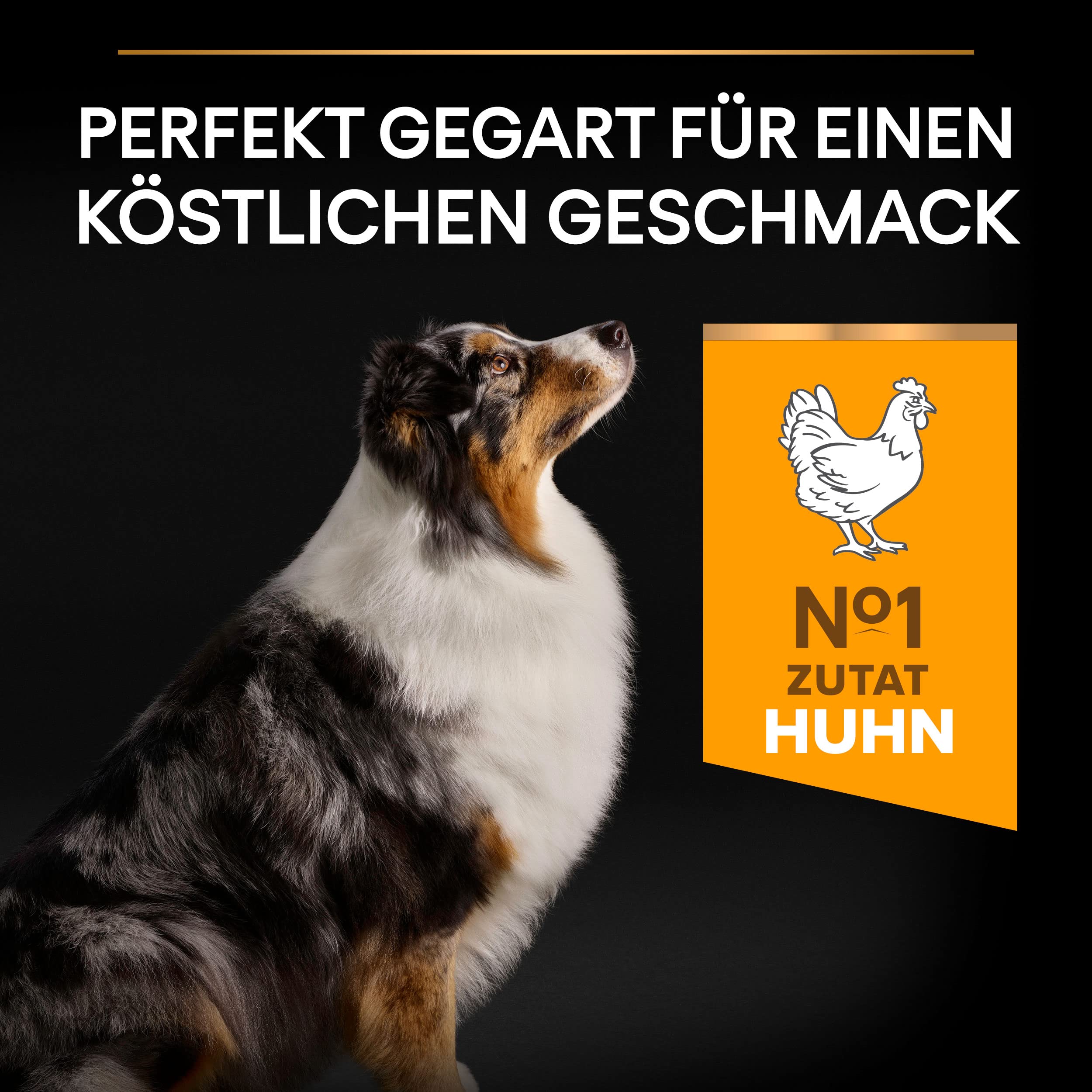 PRO PLAN Medium Large Adult 7+ Hundefutter Huhn 12kg trocken