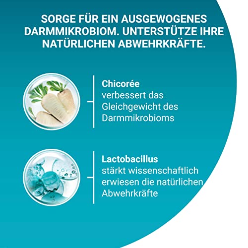 PURINA ONE BIFENSIS Adult Lachs Trockenfutter 4x2,8 kg