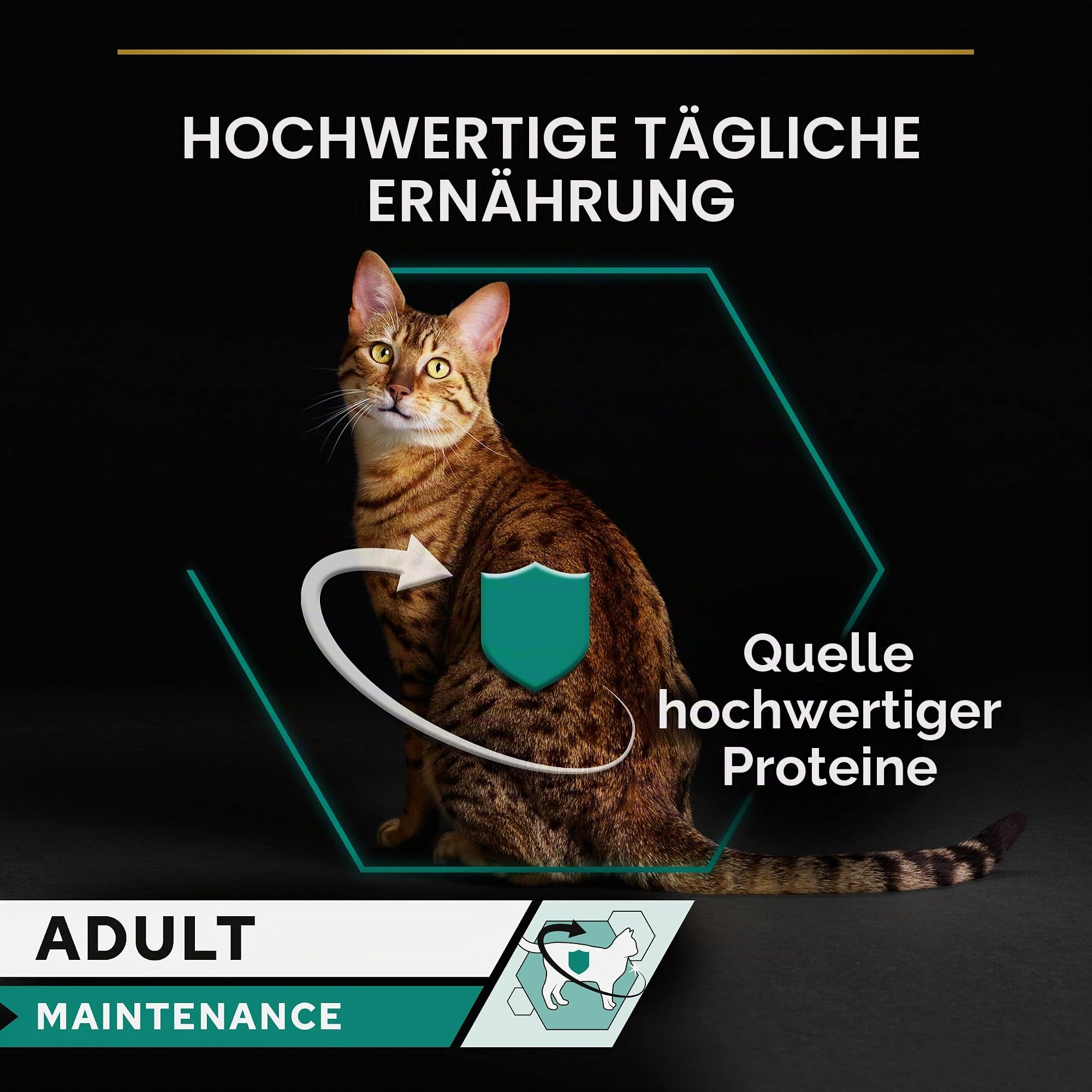 Purina Pro Plan Sterilised Nassfutter Pastete Lachs Thunfisch 12x85g