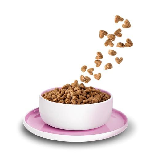 KITTY Cat Trockenfutter Katzenfutter Huhn Kitten 3 kg getreidefrei