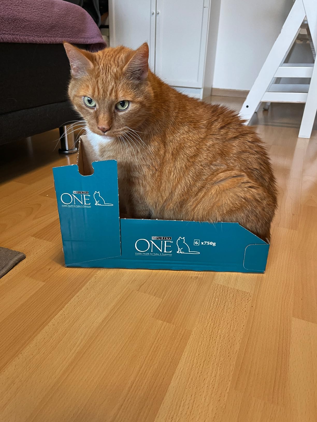 PURINA ONE BIFENSIS Trockenfutter Huhn Senior 7+ 8,4kg