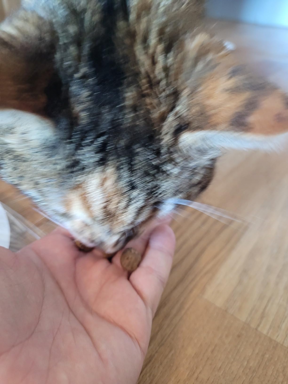 Felix Tasty Nuggets Rind Lamm Leckerli 6x180g für Katzen